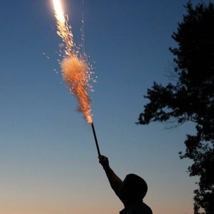 Meet your Posher, Billy